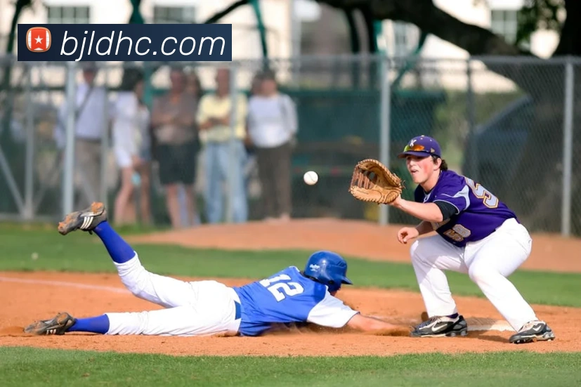 百家乐网站服务体系